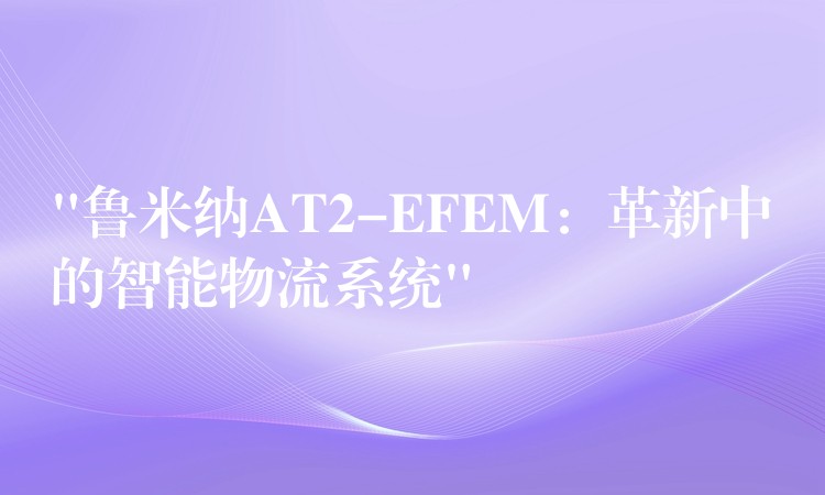 “鲁米纳AT2-EFEM：革新中的智能物流系统”