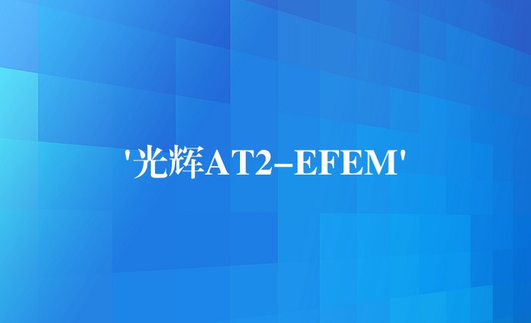 ‘光辉AT2-EFEM’