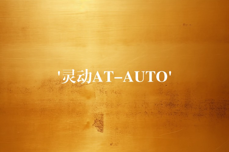 ‘灵动AT-AUTO’