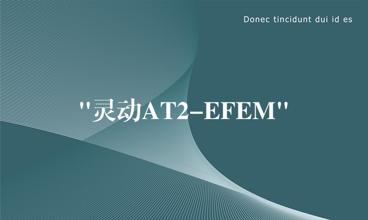 “灵动AT2-EFEM”