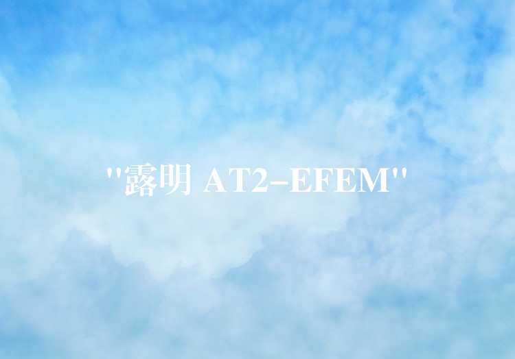 “露明 AT2-EFEM”