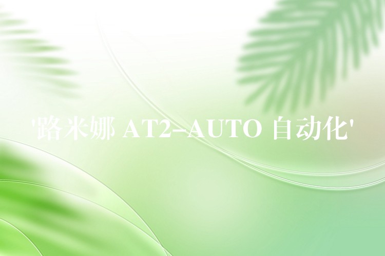 ‘路米娜 AT2-AUTO 自动化’