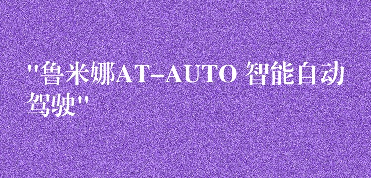 “鲁米娜AT-AUTO 智能自动驾驶”