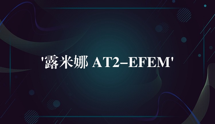 ‘露米娜 AT2-EFEM’