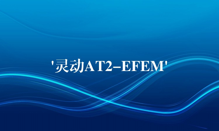 ‘灵动AT2-EFEM’