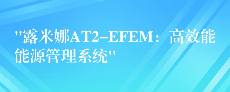 “露米娜AT2-EFEM：高效能能源管理系统”