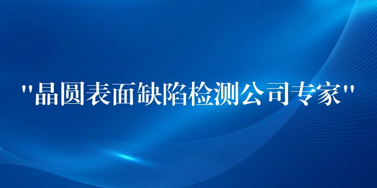 “晶圆表面缺陷检测公司专家”