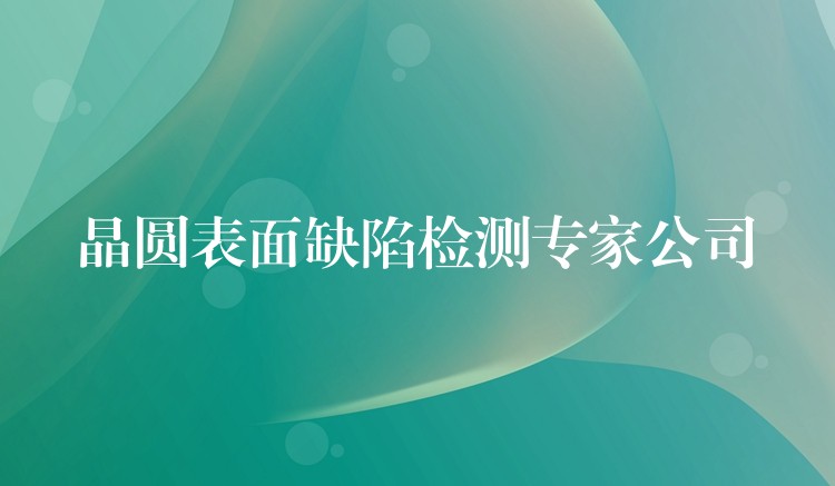 晶圆表面缺陷检测专家公司