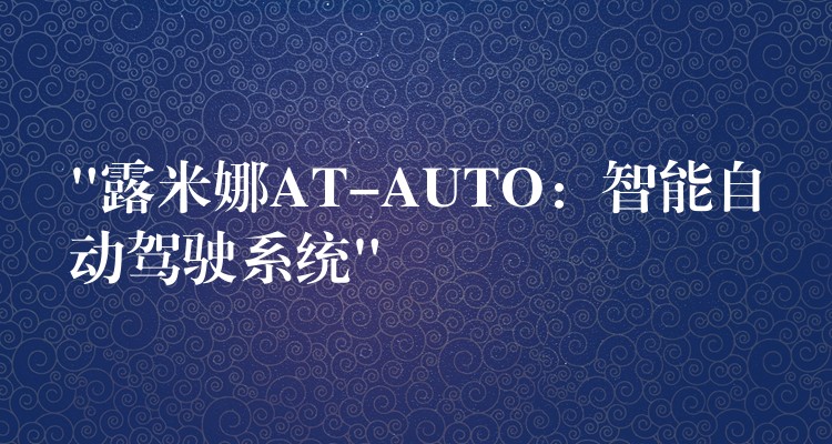 “露米娜AT-AUTO：智能自动驾驶系统”