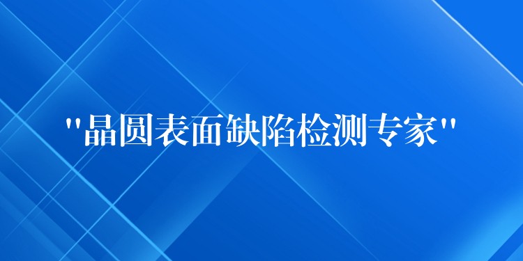 “晶圆表面缺陷检测专家”