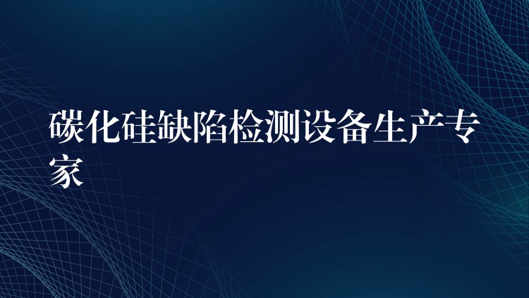 碳化硅缺陷检测设备生产专家