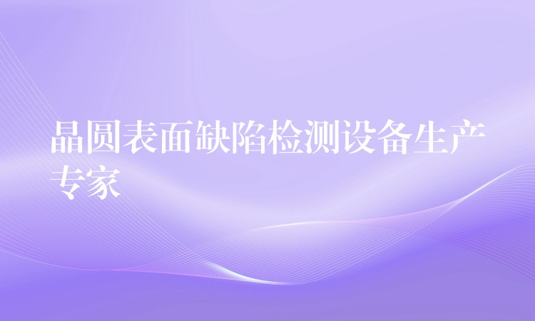 晶圆表面缺陷检测设备生产专家